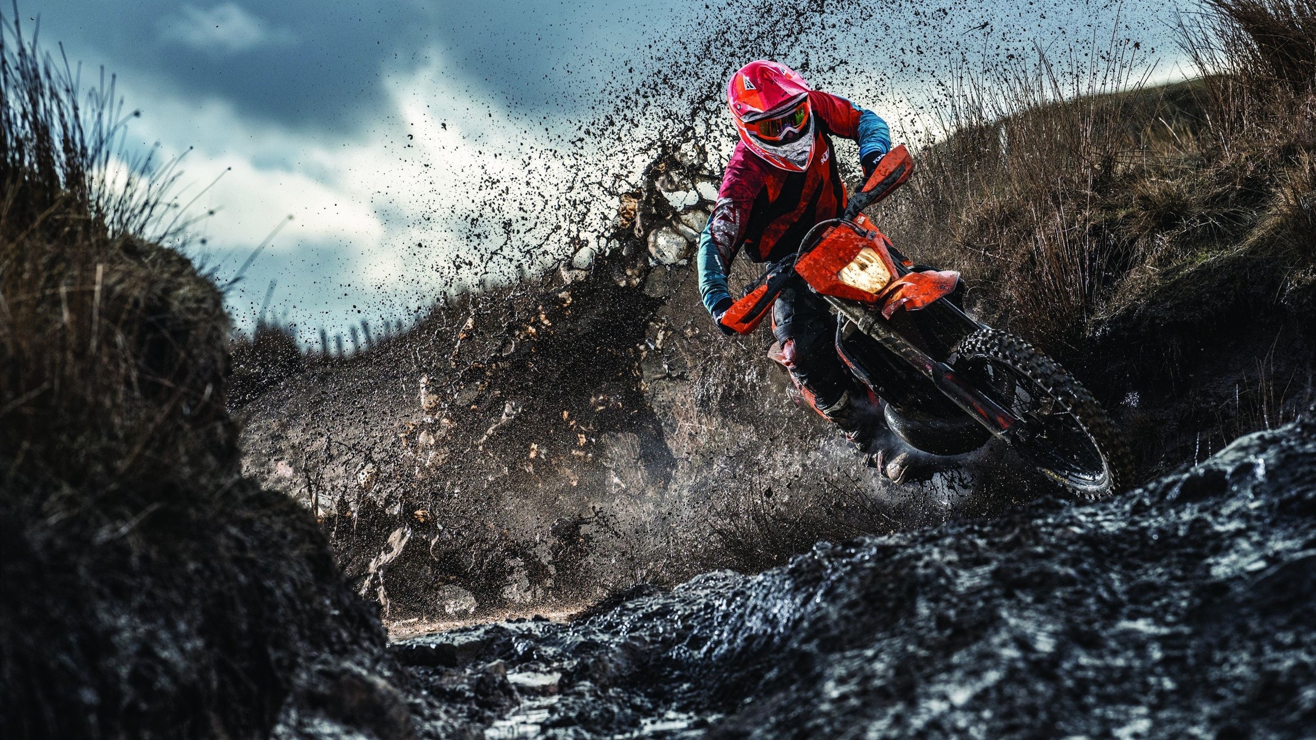 埃及赛制的潜力:如何从赛事中发现新兴人才,埃及乙组比赛